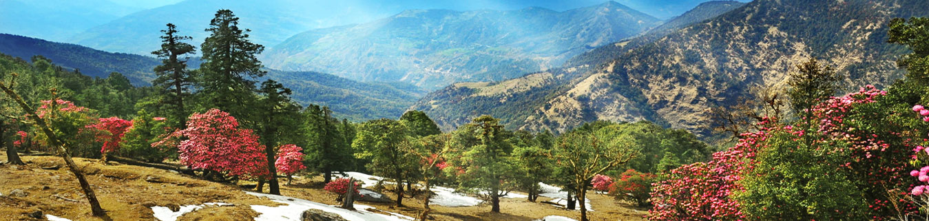 Uttarakhand Tour Packages