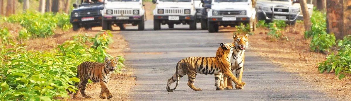 Corbett-national-park