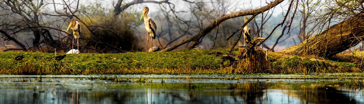 Bharatpur