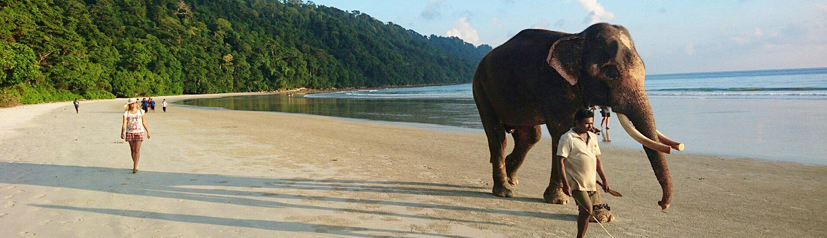 elephant-beach, andaman