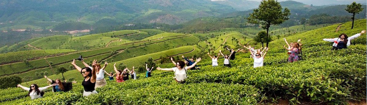 munnar-tea-garden