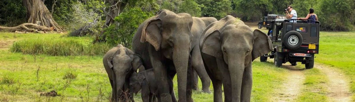 periyar-national-park