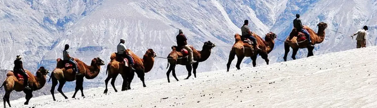 sand-dunes-of-Nubra