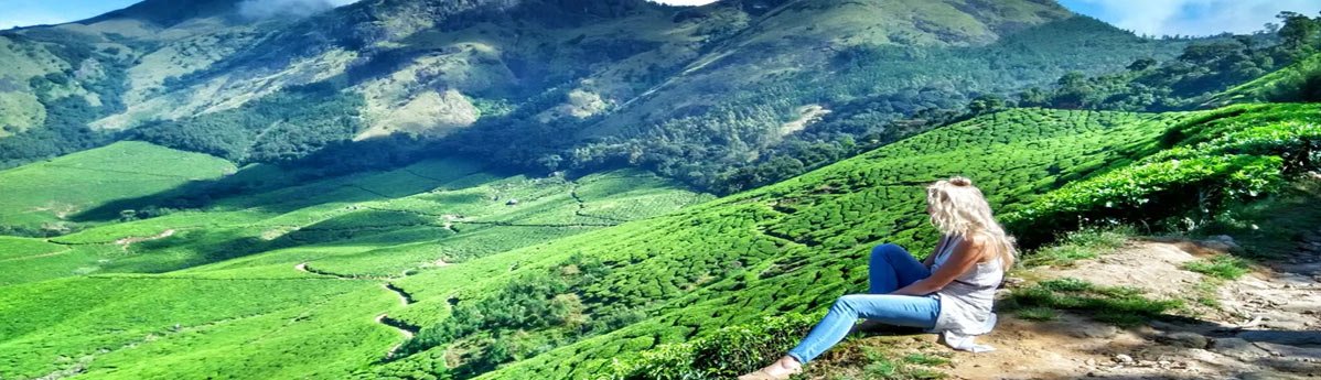 munnar-tea-garden