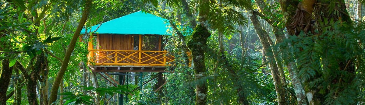tree-house-munnar