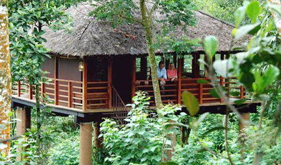 Best of Kerala with Treehouse Stay