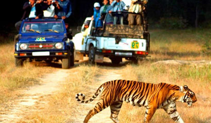 Jim Corbett with Nainital Tour