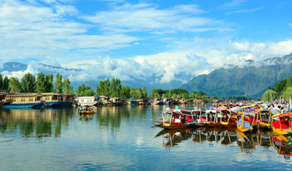 Kashmir Magic