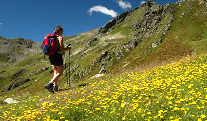 Valley of Flowers with Hemkund Trek